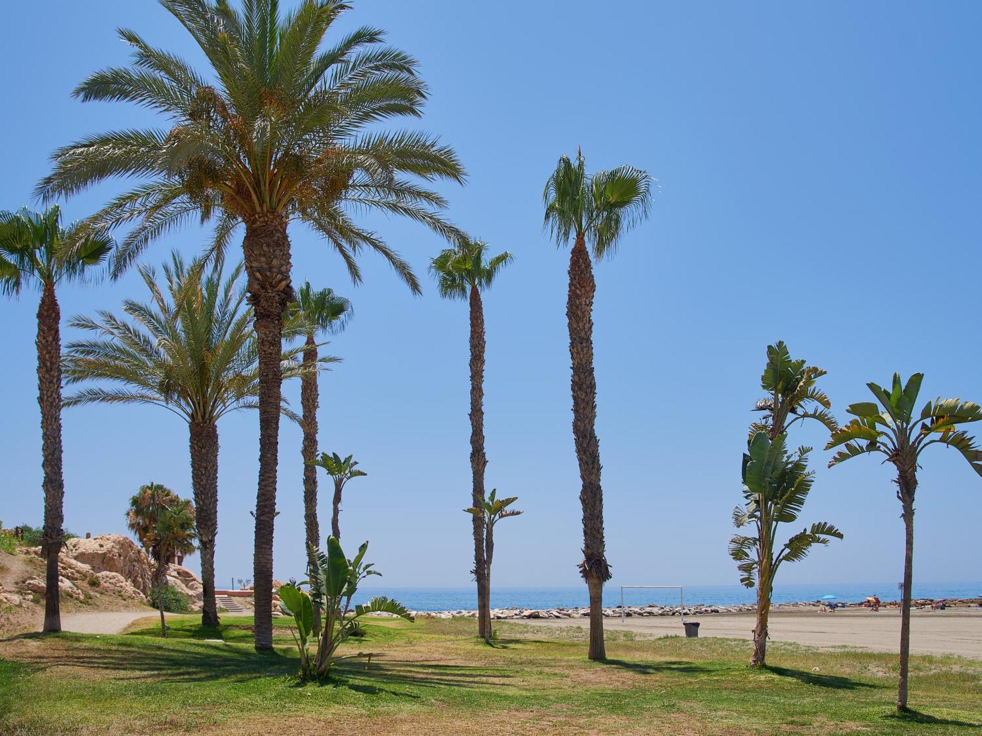 Lovely Studio With Seaview 700M From The Beach La Cala Del Moral Exterior foto